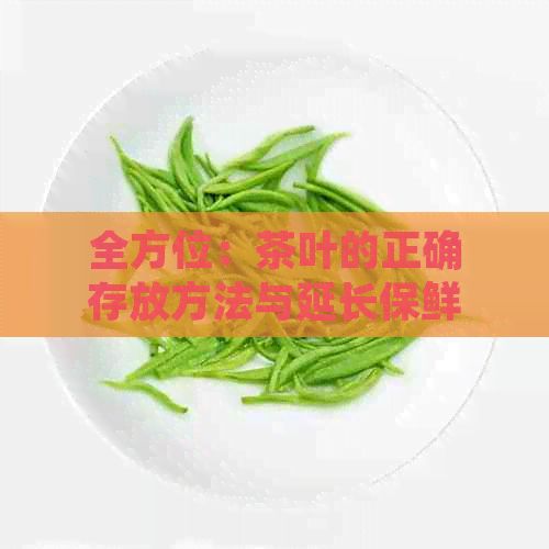 全方位：茶叶的正确存放方法与延长保鲜技巧