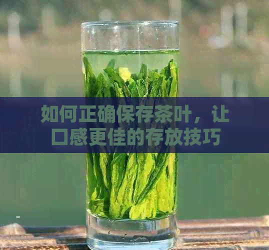 如何正确保存茶叶，让口感更佳的存放技巧