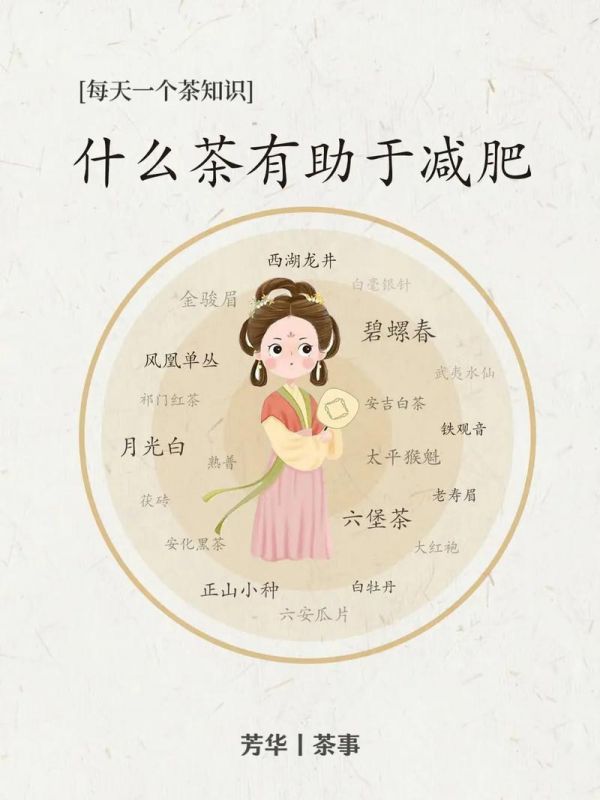 绿茶减肥，探索一种健康的生活方式