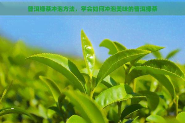 普洱綠茶沖泡方法，學(xué)會如何沖泡美味的普洱綠茶