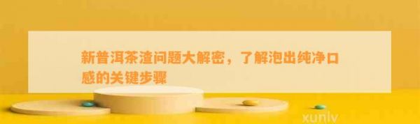 新普洱茶渣问题大解密，了解泡出纯净口感的关键步骤