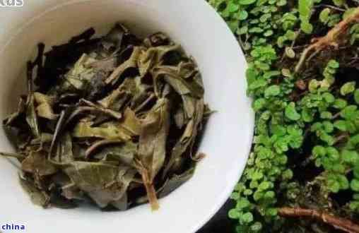普洱茶渣的再利用：從環(huán)保到美食，10種創(chuàng)新用途大揭秘！