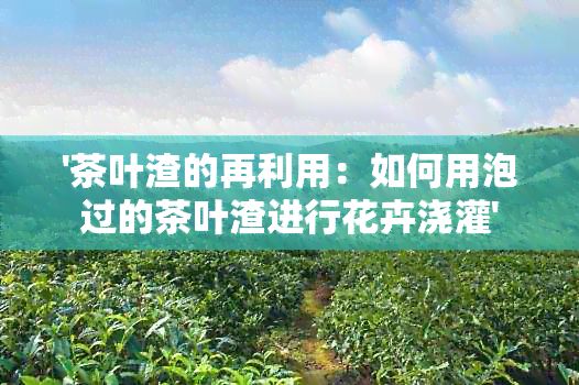 '茶叶渣的再利用：如何用泡过的茶叶渣进行花卉浇灌'