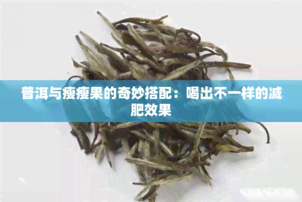 普洱與瘦瘦果的奇妙搭配：喝出不一樣的減肥效果