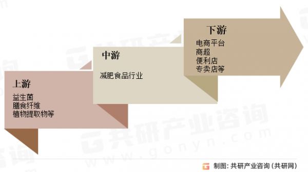 減肥食品行業(yè)產(chǎn)業(yè)鏈