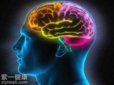 腦萎縮是老年癡呆嗎 詳解兩種病本質(zhì)上的區(qū)別