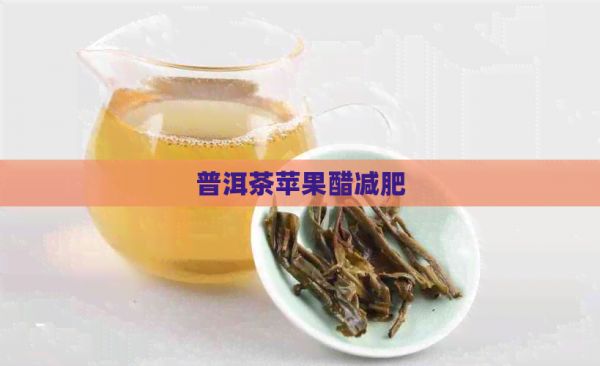 普洱茶蘋果醋減肥