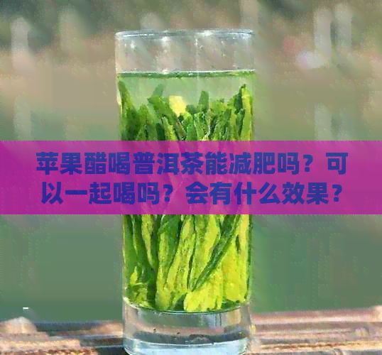 蘋果醋喝普洱茶能減肥嗎？可以一起喝嗎？會有什么效果？
