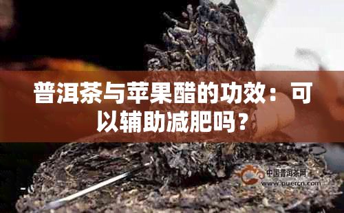 普洱茶與蘋果醋的功效：可以輔助減肥嗎？