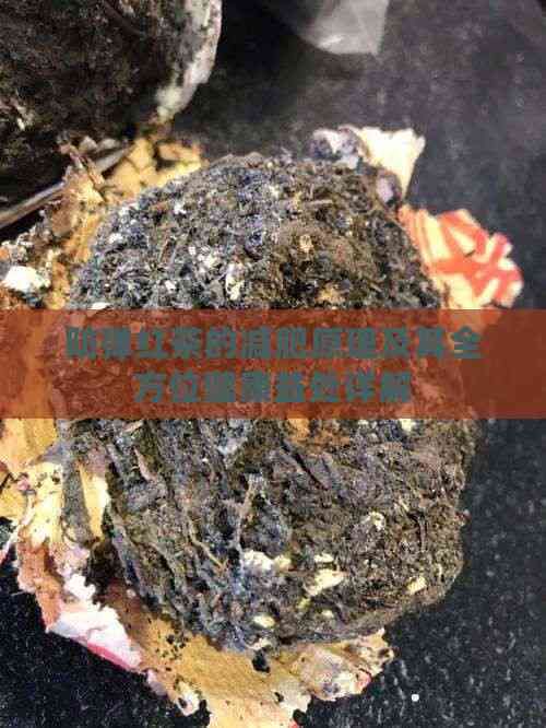 防彈紅茶的減肥原理及其全方位健康益處詳解