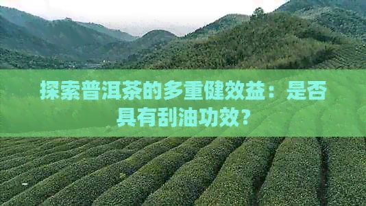 探索普洱茶的多重健效益：是否具有刮油功效？