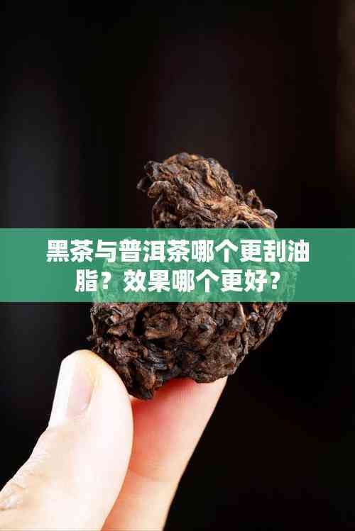 黑茶與普洱茶哪個更刮油脂？效果哪個更好？