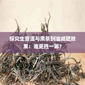 探究生普洱與黑茶刮油減肥效果：誰更勝一籌？