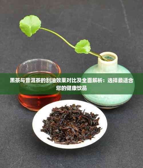 黑茶與普洱茶的刮油效果對比及全面解析：選擇最適合您的健康飲品