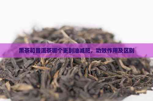黑茶和普洱茶哪個更刮油減肥，功效作用及區(qū)別
