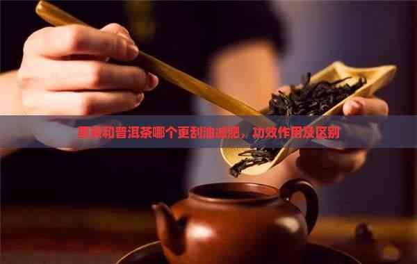 黑茶和普洱茶哪個更刮油減肥，功效作用及區(qū)別