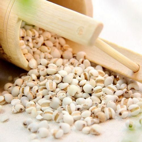 為什么有人把祛濕的薏仁茶當(dāng)做減肥圣品？真相竟是如此！
