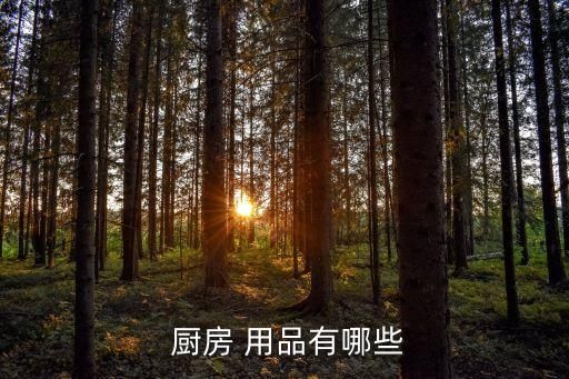  廚房 用品有哪些