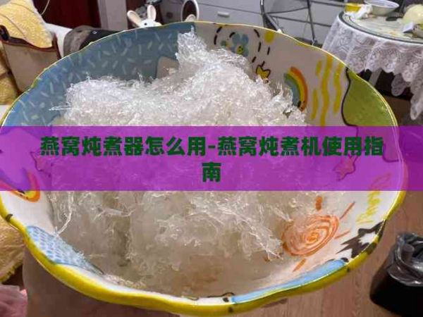 燕窩燉煮器怎么用-燕窩燉煮機使用指南