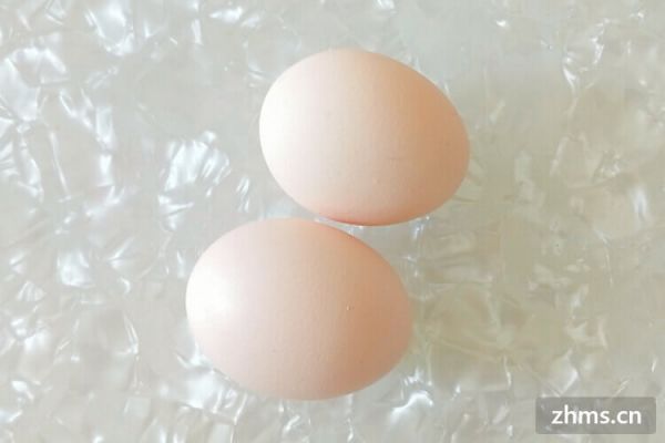 长高的食谱
