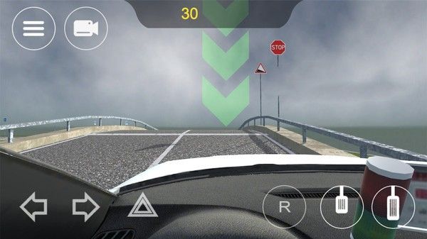 3D駕駛模擬游戲最新版圖片1
