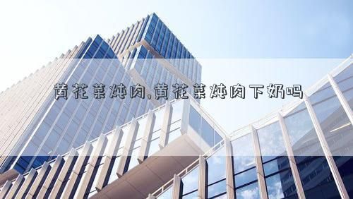 黄花菜炖肉,黄花菜炖肉下奶吗