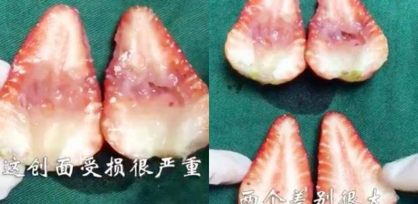 头胎宝宝是来“报恩”的？医生力保头胎的原因，并不是因为迷信