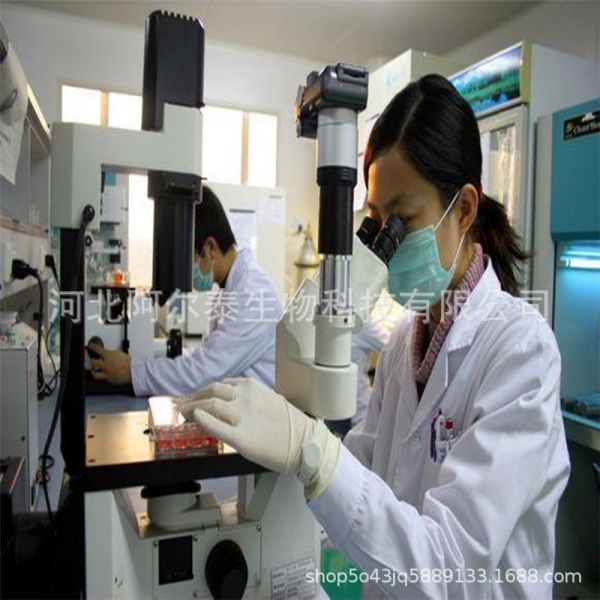 現(xiàn)貨供應(yīng)鹽酸賽阿爾泰藥業(yè)庚啶廠家賽塞直銷(xiāo)庚啶示例圖3