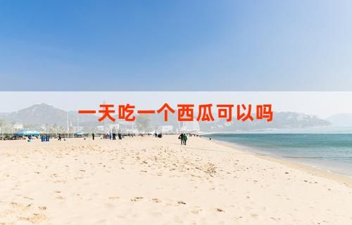 一天吃一个西瓜可以吗