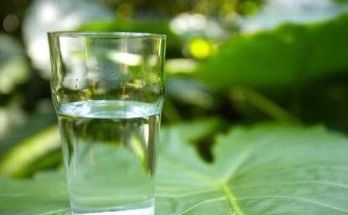 腸道排毒的最好方法，保養(yǎng)腸道吃什么食物？