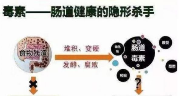 腸道排毒的最好方法，保養(yǎng)腸道吃什么食物？