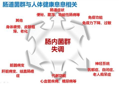 健康的身体，从健康的肠道开始