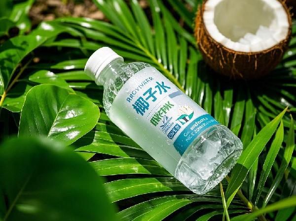 椰子水可以減肥嗎？ 揭秘椰子水的減脂潛力與健康功效
