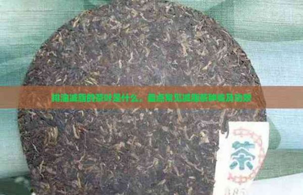 排油減脂的茶葉是什么，盤點常見減脂茶種類及功效
