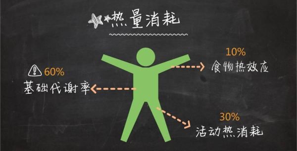 碳水化合物与减肥的关系：科学解析与实际减肥方法