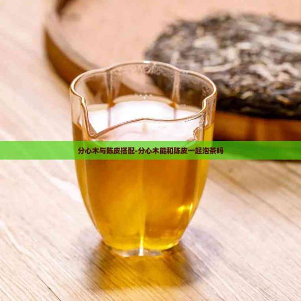 分心木与陈皮搭配-分心木能和陈皮一起泡茶吗
