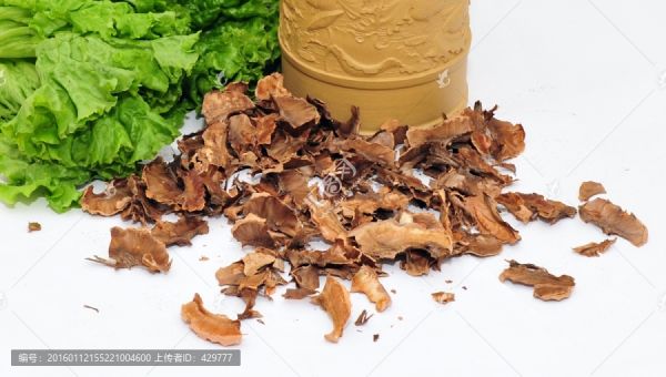 分心木,核桃分心木