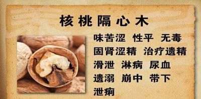 核桃分心木的功效