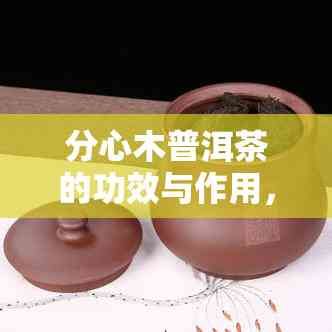 分心木普洱茶的功效與作用，解答您的疑惑