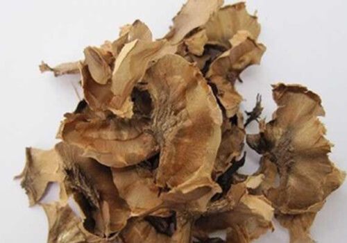分心木的功效與作用及食用方法和禁忌 第2張