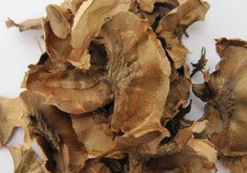 分心木的功效與作用及食用方法和禁忌 第3張