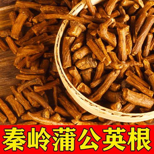 秦嶺蒲公英根2023新貨名貴中藥材蒲公英根批發(fā)零售