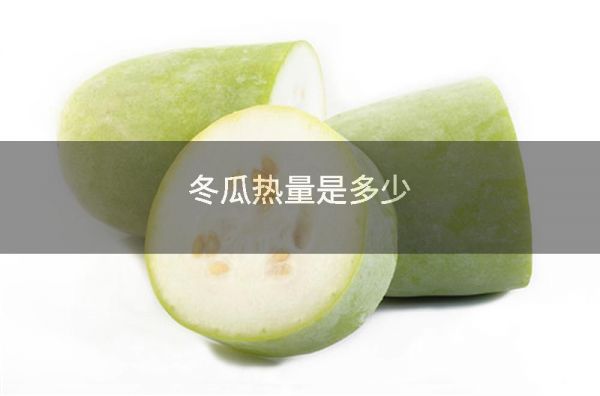 冬瓜热量是多少