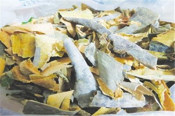 冬瓜的热量高吗 冬瓜的热量是多少