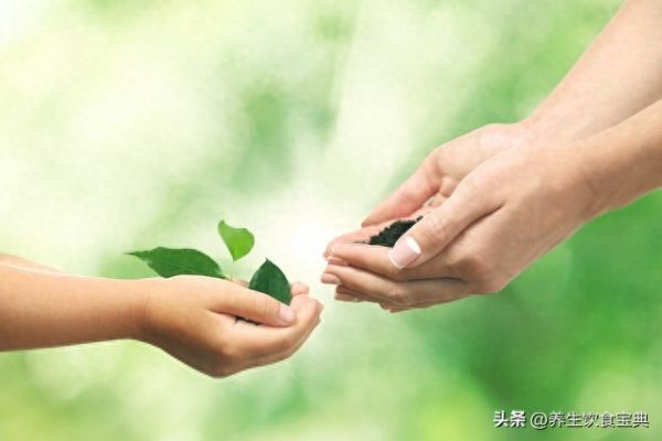 科学健康减脂，从合理搭配蔬菜开始