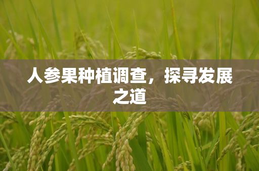 人参果种植调查，探寻发展之道