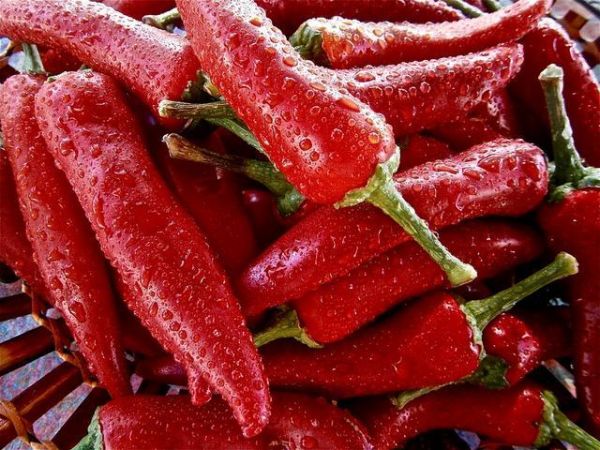 怀孕后孕妈要管住嘴，这9类食物再馋也不要吃，全是为了胎儿好