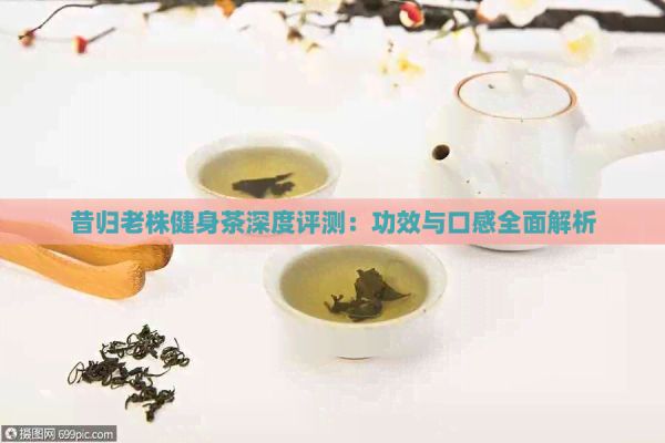 昔归老株健身茶深度评测：功效与口感全面解析