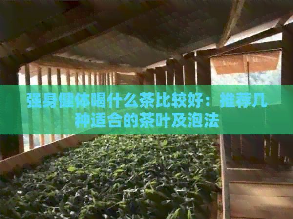 强身健体喝什么茶比较好：推荐几种适合的茶叶及泡法