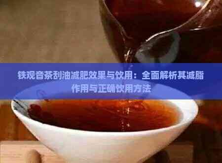 铁观音茶刮油减肥效果与饮用：全面解析其减脂作用与正确饮用方法